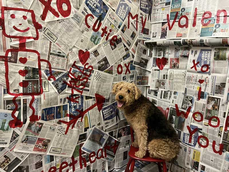 Puppy Love Photoshoot - Valentine's Day 2024 - Beverly's Pet Resort